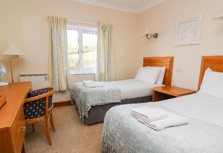 Llety Ceiro Guesthouse Aberystwyth Ngoại thất bức ảnh